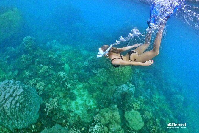 PRO-SNORKELING to Explore The Coral Jungle REEF (MAX 10 PAX) - FAQ