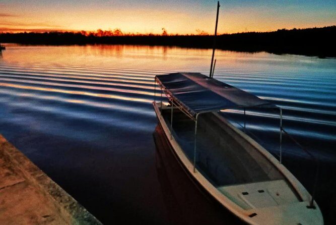 Proboscis Monkey and Fireflies River Cruise - An In-Depth Look at the Proboscis Monkey and Fireflies River Cruise