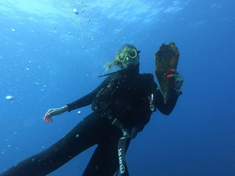 Professional Diving & Blue Cave Tour with Lunch from Split - An Overview of the Tour Experience