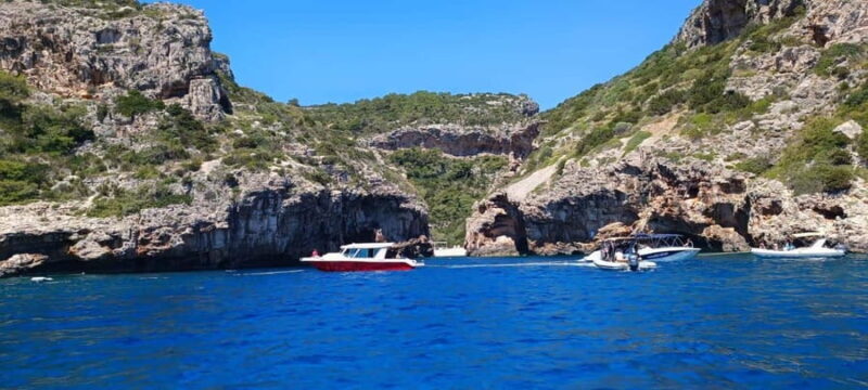 Professional Diving & Blue Cave Tour with Lunch from Split - Authentic Experiences and Traveler Feedback