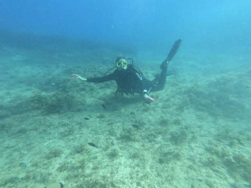 Professional Diving & Blue Cave Tour with Lunch from Split - Who Should Consider This Tour?