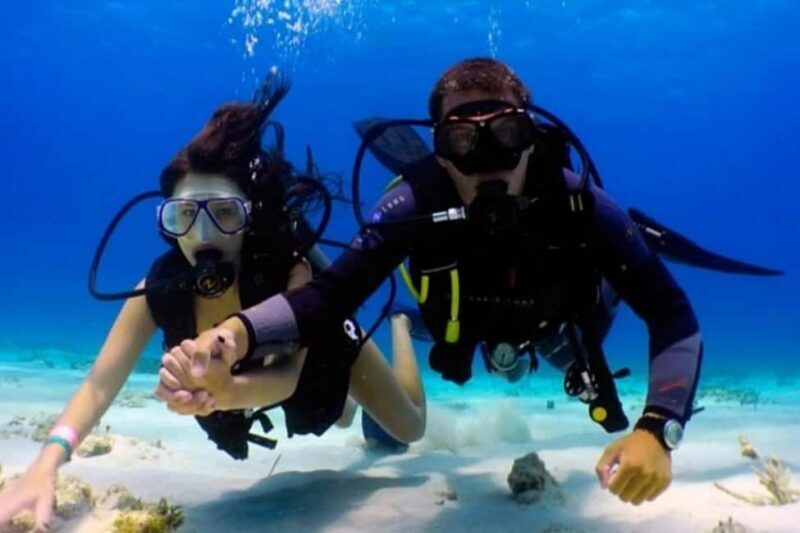 Professional Guided Scuba Diving: Swim with colorful fish. - The Experience in Detail