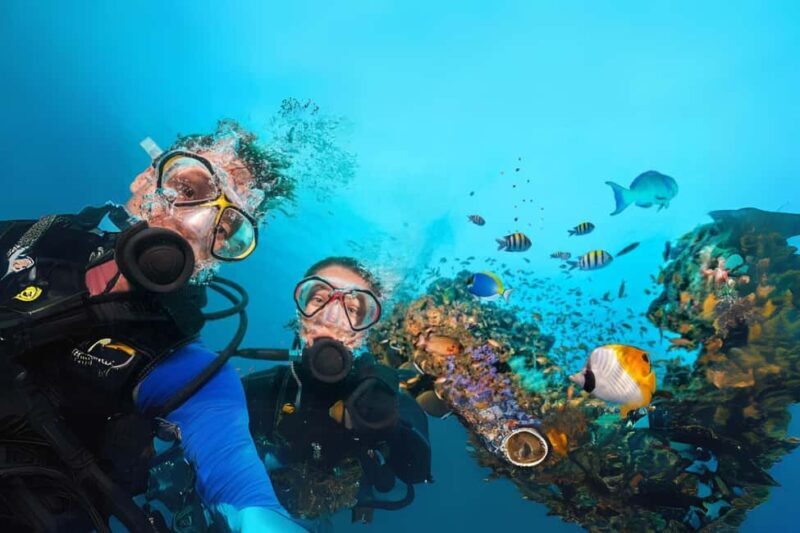 Professional Guided Scuba Diving: Swim with colorful fish. - FAQ