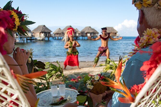 Professional Photo Shooting in Moorea, unique session adapted - The Sum Up