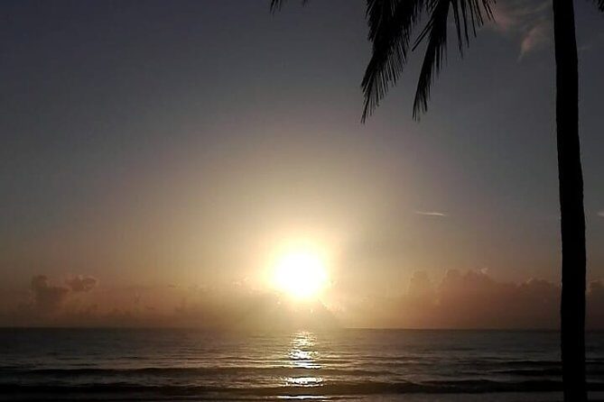 Professional surf lessons Dominican Republic, Cabarete, Encuentro - The Value Proposition