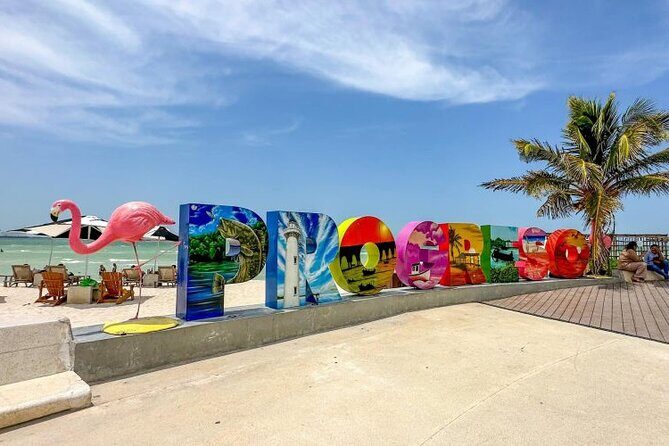 Progreso, Flamingos, Cenote, and Salt Ponds adventure from Merida - An In-Depth Look at the Tour Experience