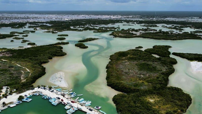 Progreso: Isla Columpios and Pig Beach Club Day Pass - Practical Details and Tips