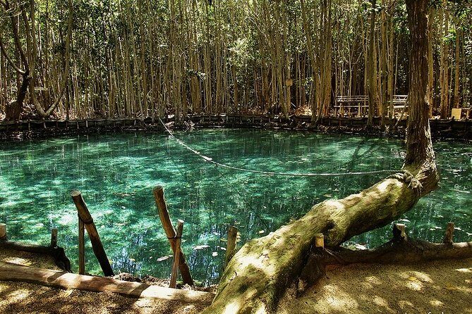 Progreso segway Sightseeing and Beach Break Adventure Excursion - Who is This Tour Best For?