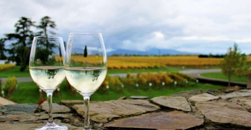 Progressive Wine & Gourmet Trail from Blenheim or Picton - Practical Tips & Considerations
