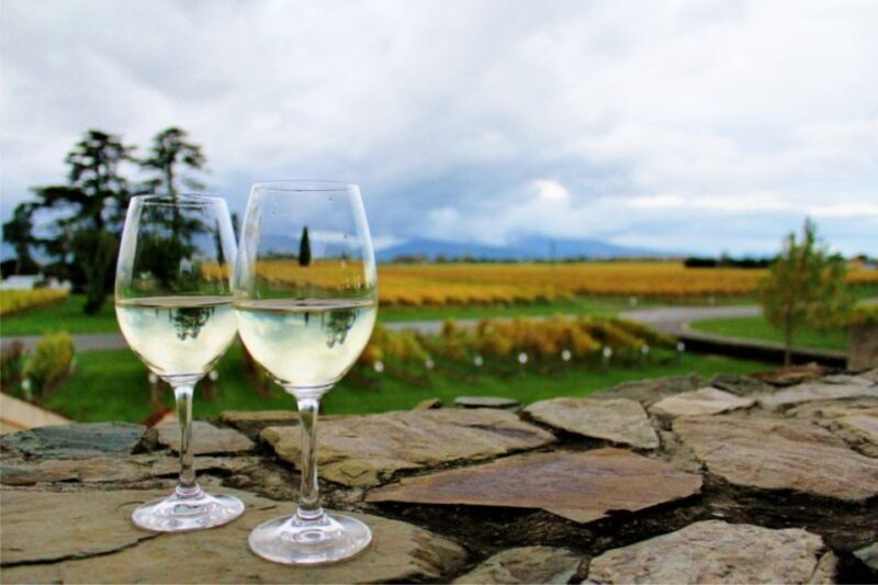 Progressive Wine & Gourmet Trail from Blenheim or Picton - Final Thoughts: Who Should Sign Up?