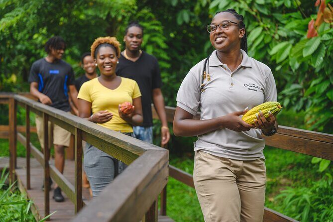 Project Chocolat Tree to Bar Tour at Hotel Chocolat Saint Lucia - Who Will Love This Tour?