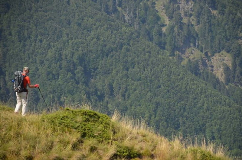 Prokletije Hiking Private Tour - A Close-Up Look at the Prokletije Hiking Private Tour