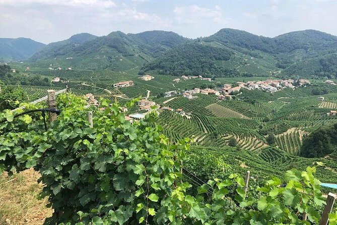 Prosecco and Cheese Tasting. From Venice. Full day - Exploring the Venetos Sparkling Heart: Prosecco and Cheese Tasting from Venice