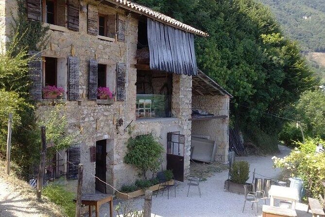 Prosecco experience. Wine tasting. Full day from Treviso - A Close Look at the Prosecco Experience from Treviso