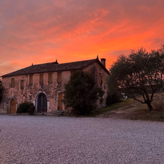 Prosecco Hills: Lovely Tasting Night - Food and Additional Offerings