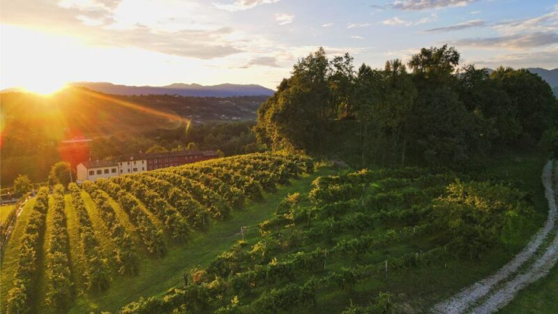 Prosecco Hills: Lovely Tasting Night - Why We Think This Tour is Worth the Cost