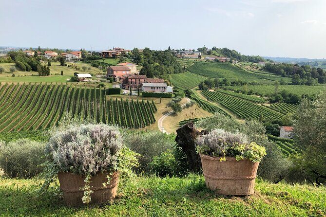 Prosecco Hills Wine and Cheese Gourmet Discovery by Yellowboot - Who Should Consider This Tour?