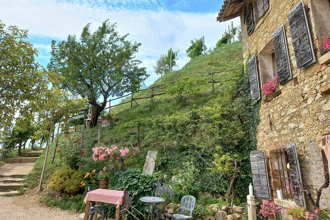 Prosecco hills wine and food tour from Venice and Treviso - A Day in the Prosecco Hills: A Practical, Authentic Wine and Food Experience from Venice