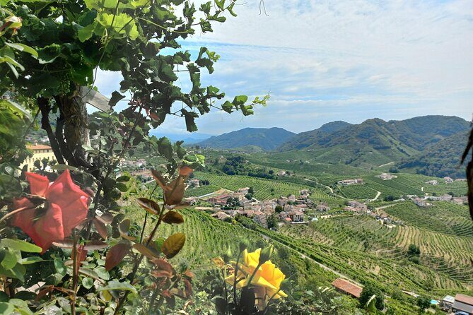 Prosecco hills wine and food tour from Venice and Treviso - What Travelers Say: Authentic Insights from Reviews