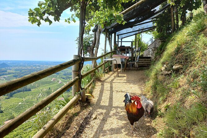 Prosecco hills wine and food tour from Venice and Treviso - FAQ