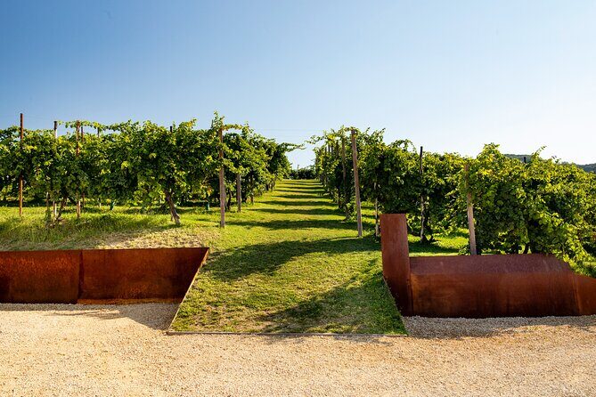 Prosecco tasting, appetizers and tour of the cellar and vineyards - The Experience in Detail: What to Expect