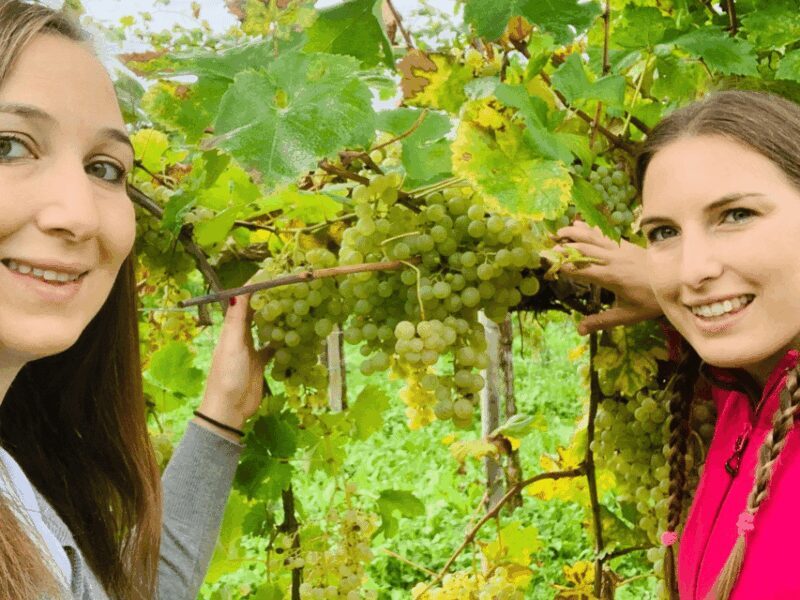 Prosecco Tasting in Countryside Winery - Who Will Love This Tour?