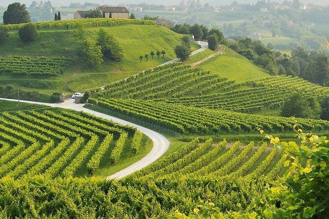 Prosecco Tour and Tasting from Venice - Who Is This Tour Best For?