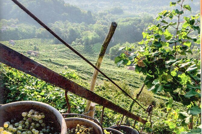 Prosecco - Wine tour & tasting - Full day in the Prosecco region - Who Should Consider This Tour?