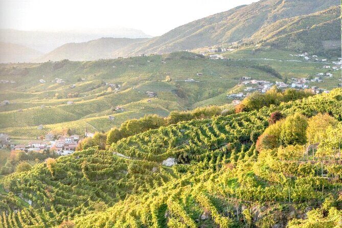 Prosecco - Wine tour & tasting - Full day in the Prosecco region - In The Sum Up: Is This Tour Worth It?