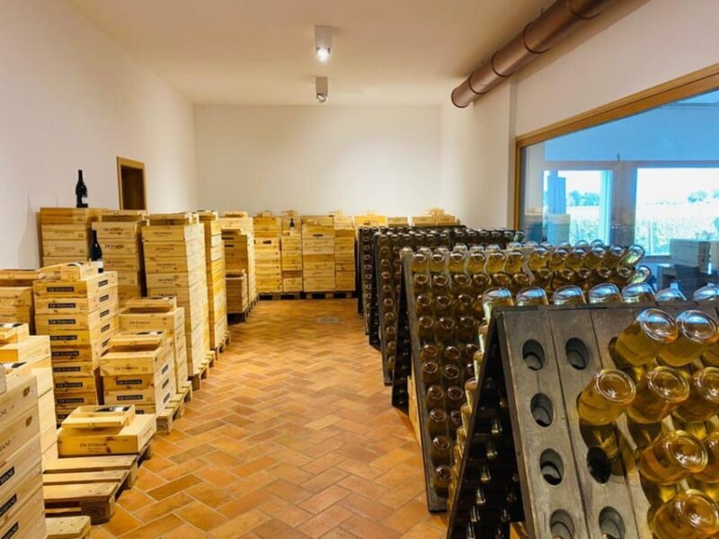 Prosecco Winery Tasting with Food Pairing near Venice - Prosecco Winery Tasting with Food Pairing near Venice: A Detailed Review