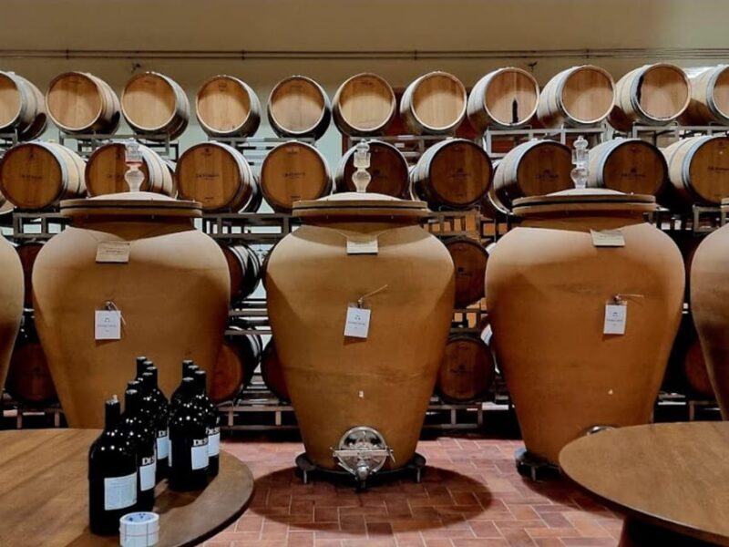 Prosecco Winery Tasting with Food Pairing near Venice - Why This Tour Offers Great Value