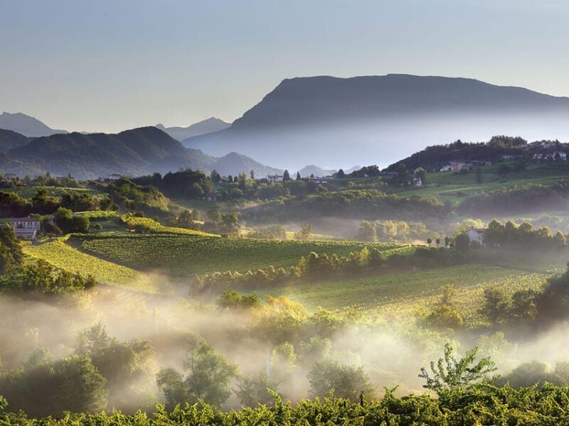 Prosecco Winery Tasting with Food Pairing near Venice - Who Will Enjoy This Tour?