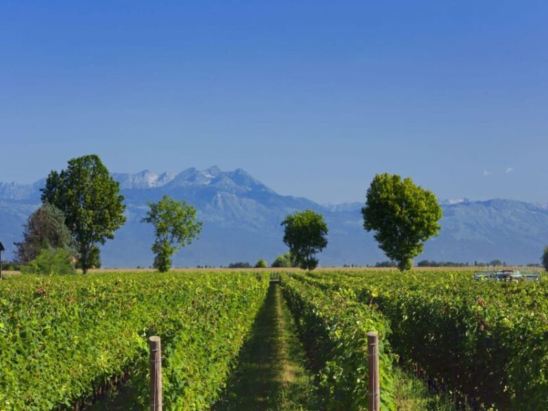 Prosecco Winery Tasting with Food Pairing near Venice - Frequently Asked Questions