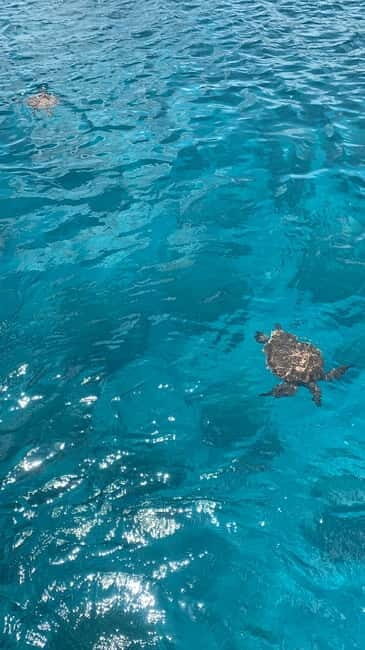 Protaras: Adults Only Luxury Yacht with BBQ and 1 Drink - Who Will Love This Experience?