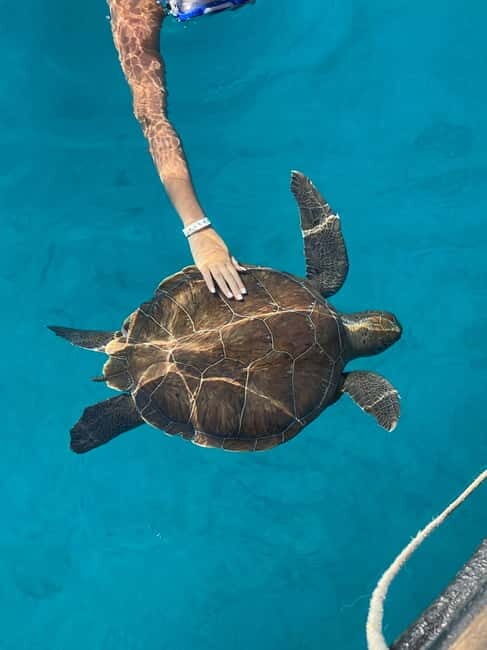 Protaras: Blue Lagoon and Turtles Pirate Cruise - The Itinerary and Its Charm