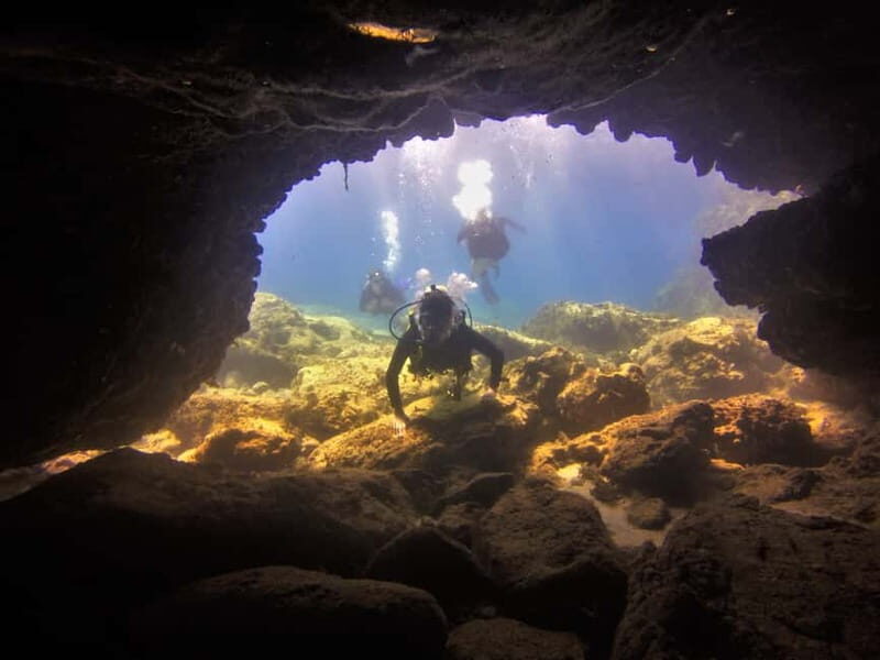 Protaras: Cape Grecko Single Dive for Qualified Divers - Key Points