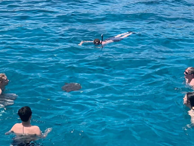 Protaras: DREAM Luxury Yacht Cruise w/ Slide, BBQ & 1 Drink - Key Points