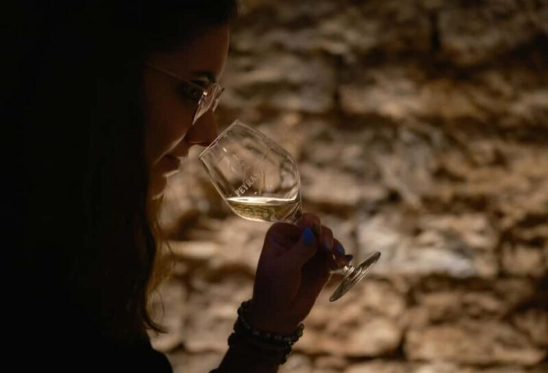 Provence: Commanderie de Peyrasso Guided Tour of the Cellars - A Balanced View: Why This Tour Is Worth It