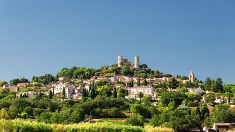 Provence Day, Saint Tropez Grimaud village Wine tasting - The Winery Experience: Savoring Local Vintages in Style