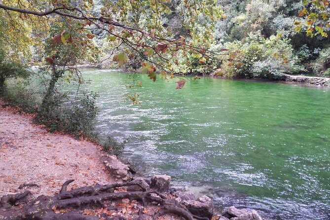 Provence Highlights Full-Day Tour from Avignon - Final Thoughts