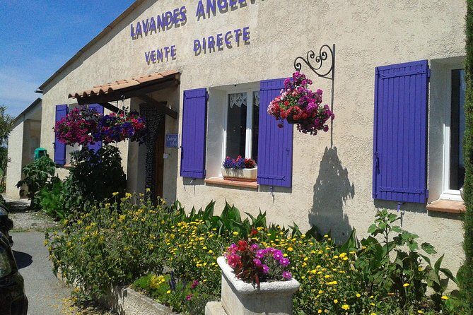Provence Lavender Fields Tour In Valensole from Marseille - What’s Included and What to Keep in Mind