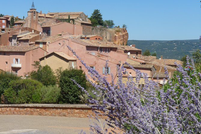 Provence Lavender Full Day Tour from Avignon - Who Is This Tour For?