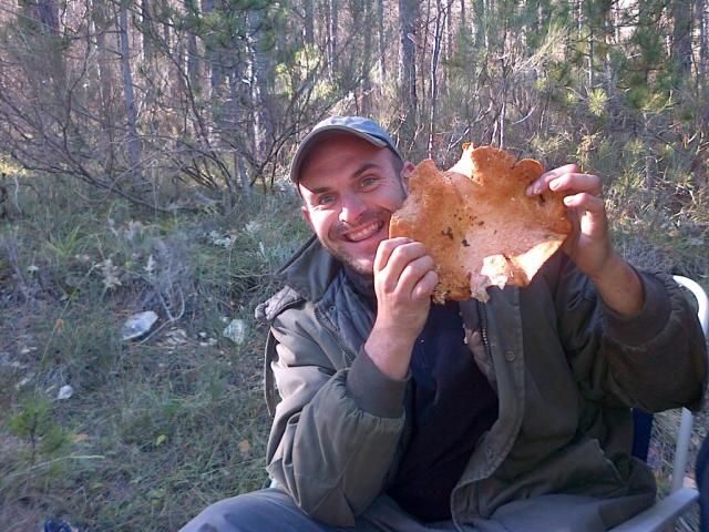 Provence: Mushroom Hunting with Outdoor Breakfast - Key Points