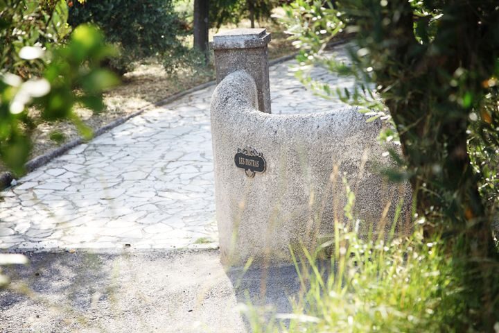 Provence Olive Harvest - Key Points