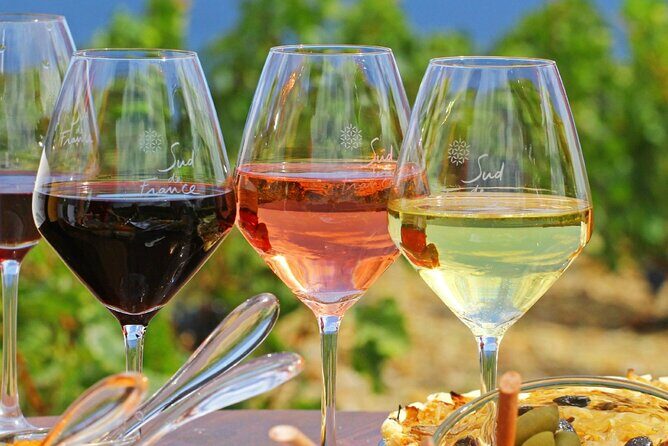 Provence Organic Wine Tasting Half Day Tour from Nice - A Taste of Provence: Organic Wine Tasting & Saint-Paul-de-Vence from Nice