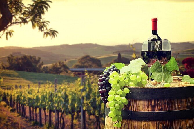 Provence Organic Wine Tasting Half Day Tour from Nice - Key Points