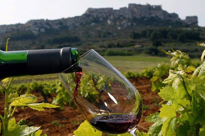 Provence Private Full Day Wine Tour with Wine Tasting - An In-Depth Look at the Provence Private Wine Tour