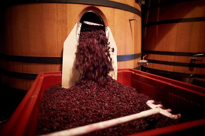 Provence Private Full Day Wine Tour with Wine Tasting - What We Think: The Good and the Considerations