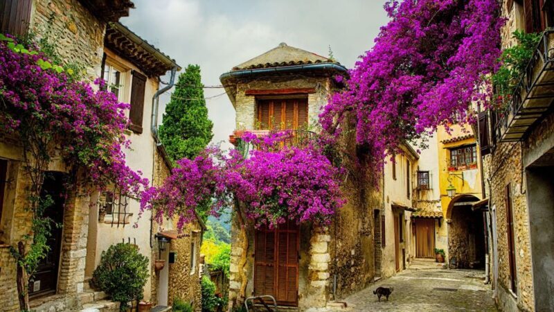 Provence private tour: Aix-en-Provence, (Marseille) & Cassis - Exploring Provence: A Private Tour of Aix-en-Provence, Marseille, and Cassis