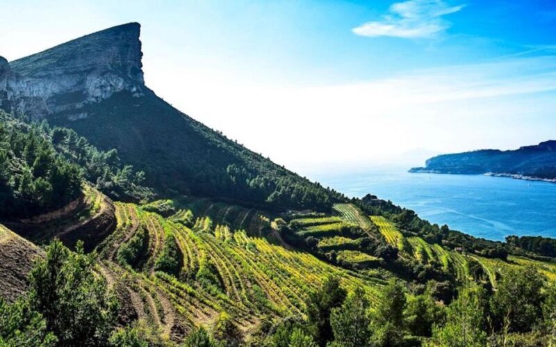 Provence private tour: Aix-en-Provence, (Marseille) & Cassis - Drawbacks or Considerations